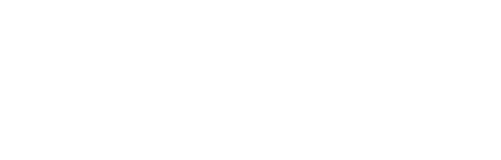 Digidove Agency