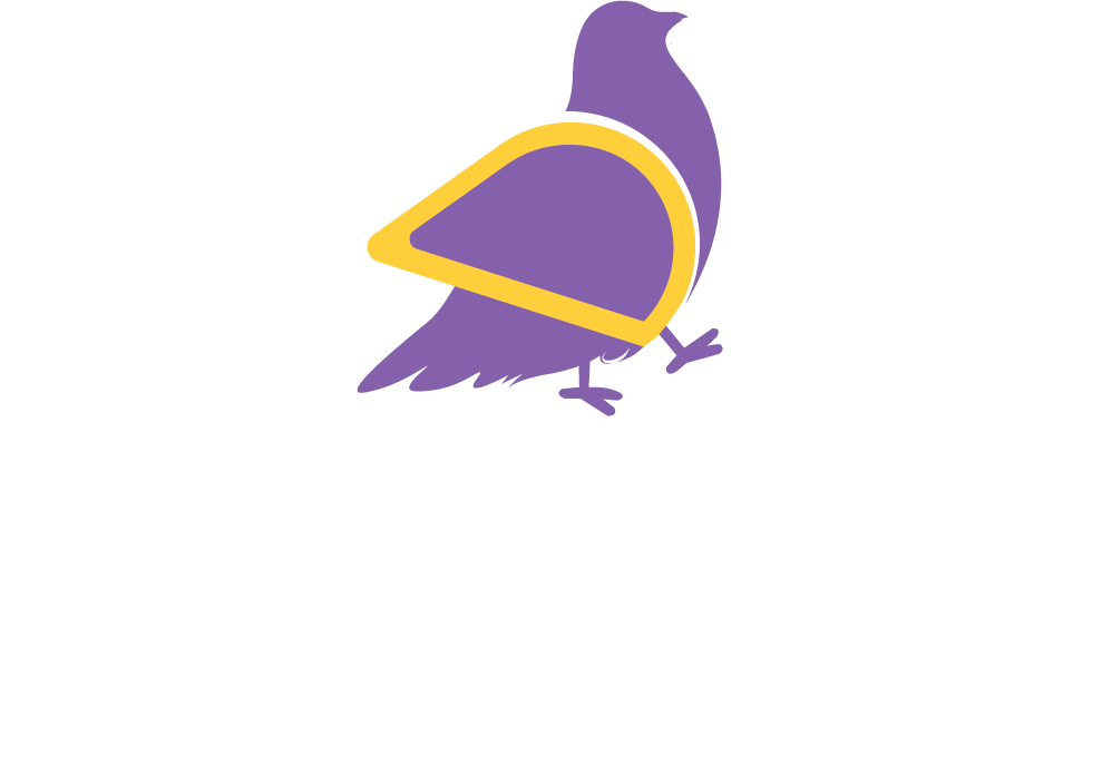 Digidove Agency
